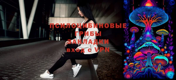 прущий лед Алексин