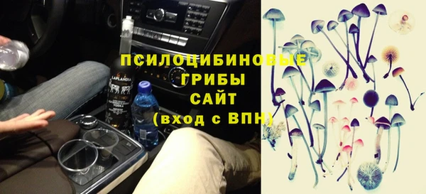 прущий лед Алексин