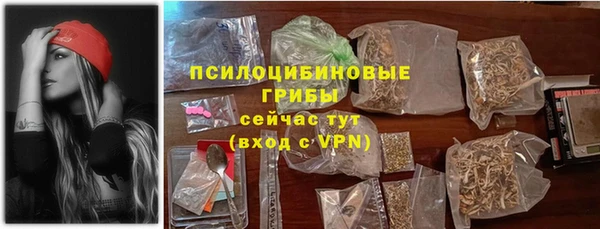 прущий лед Алексин