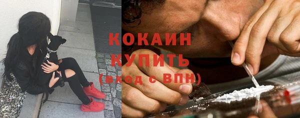 прущий лед Алексин