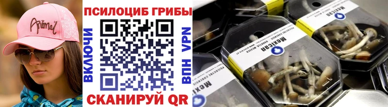 Купить где  Терек  Галлюциногенные грибы мицелий 
